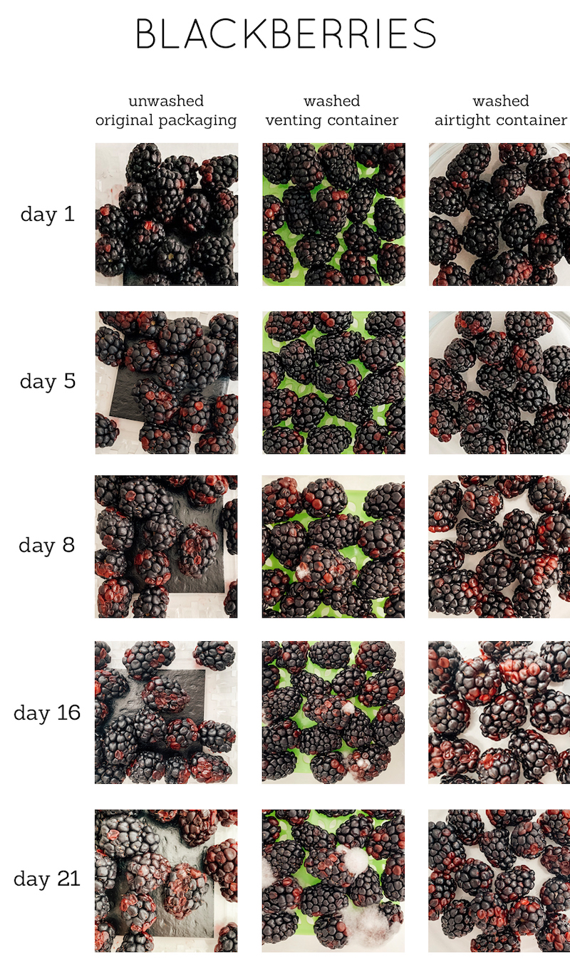 how to wash blackberries to remove bugs