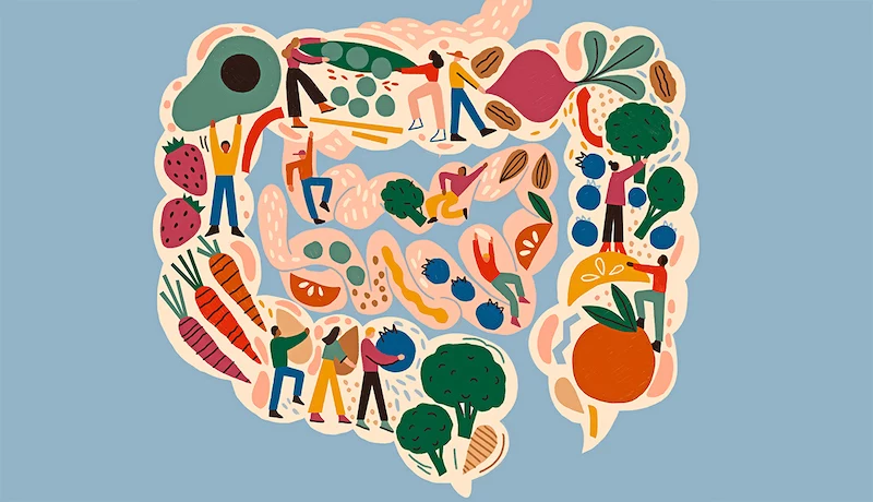 illustration of a healthy intestine inside view filled with veggies and fruits