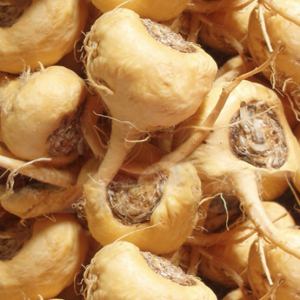 7+ Guaranteed Maca Root Benefits, Side Effects And More