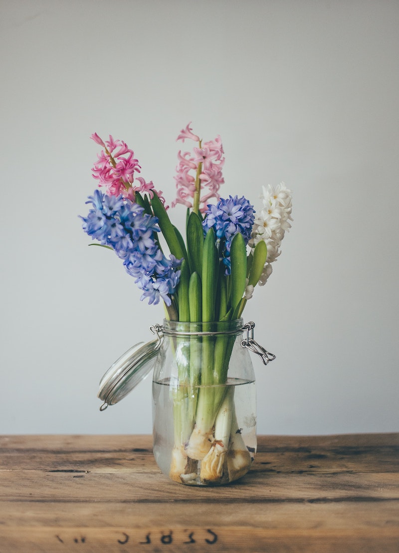 most fragrant flowers hyacinth in a jar pink purple and white
