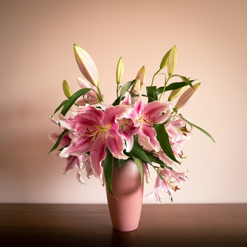 nice smelling flowers oriental lily in pinks in a pink vase