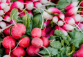 What To Plant In June: 5+ Best Vegetables and Flowers