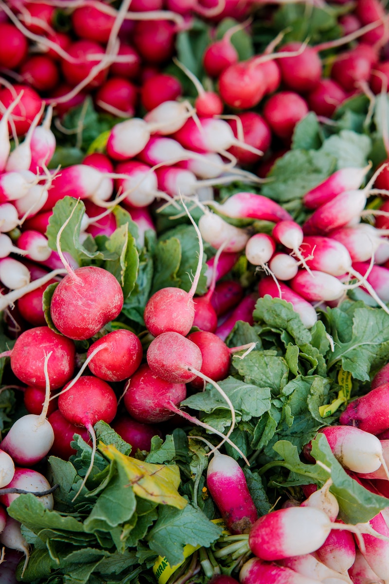 pink and white radishes in bunches