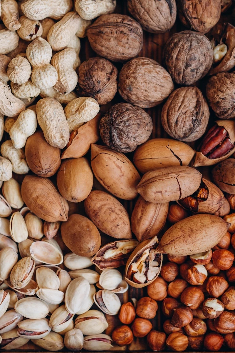 probiotic foods different types of nuts walnut pistachio hazelnut