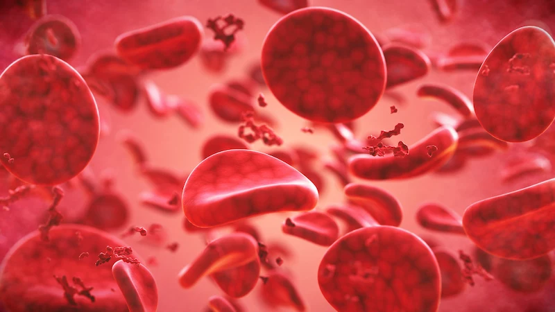 magnification on a group of red blood cells in blood plasma