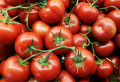 7+ Plants You Should NEVER Grow Next To Each Other
