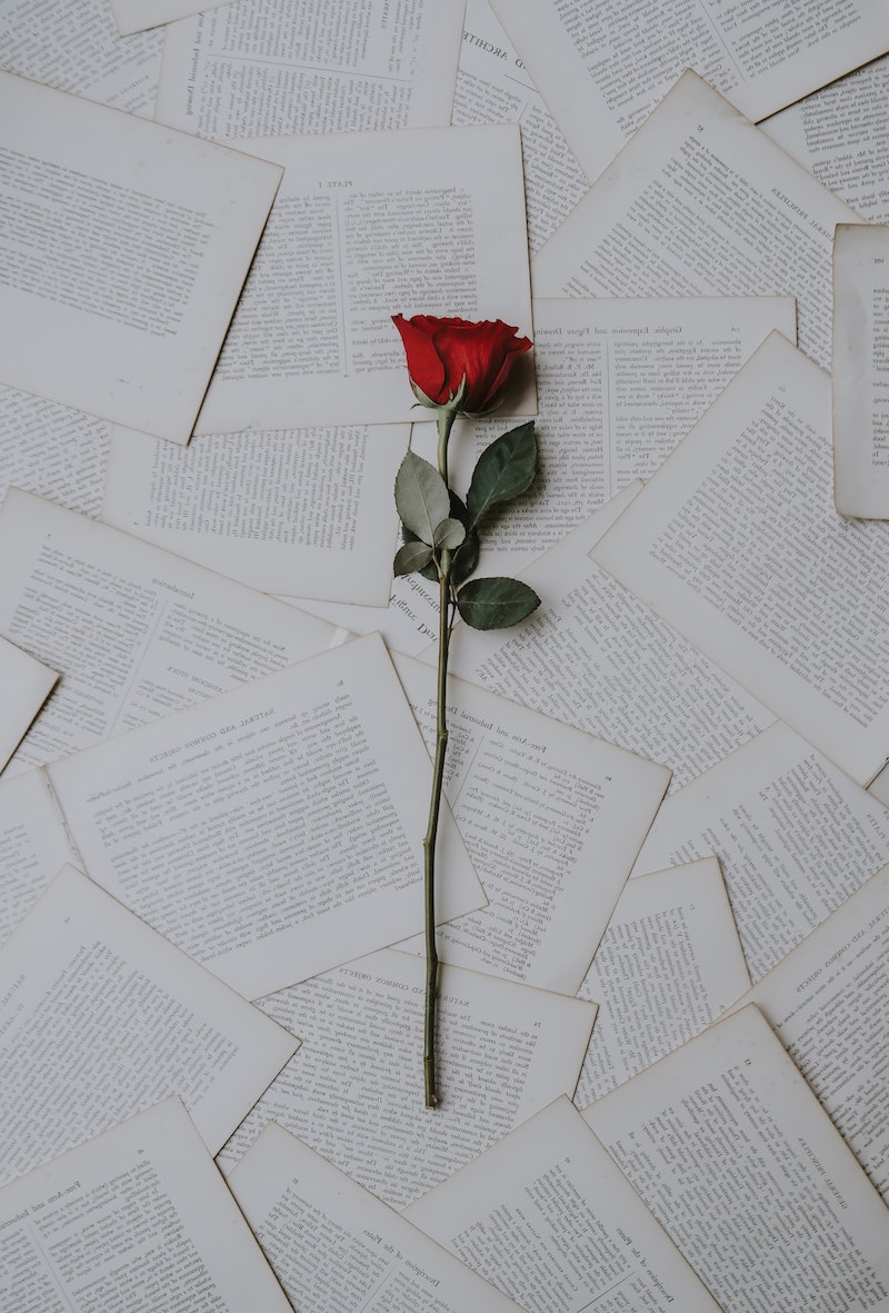 single red rose on newspaper articles