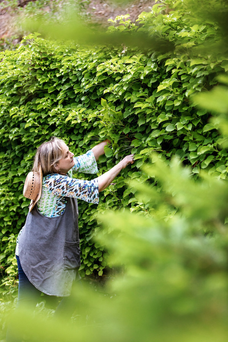 spring garden preparation tips