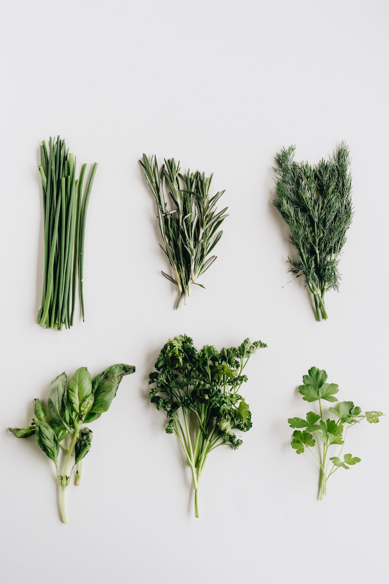 store fresh herbs in refrigerator