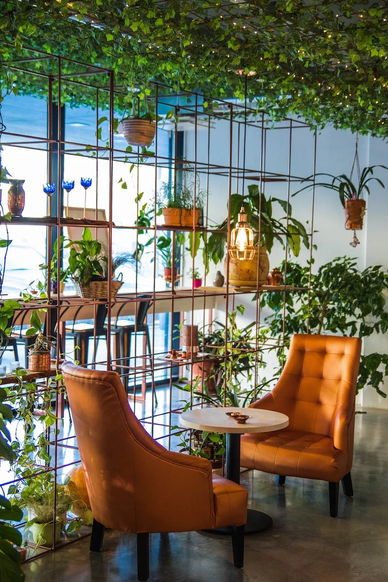 two orange chairs in front of a wall of plants