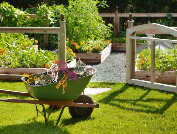 vegetable garden with wheel barrel and drawn veggies