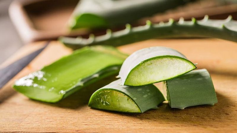 what are the benefits of aloe vera aloe sliced in pieces