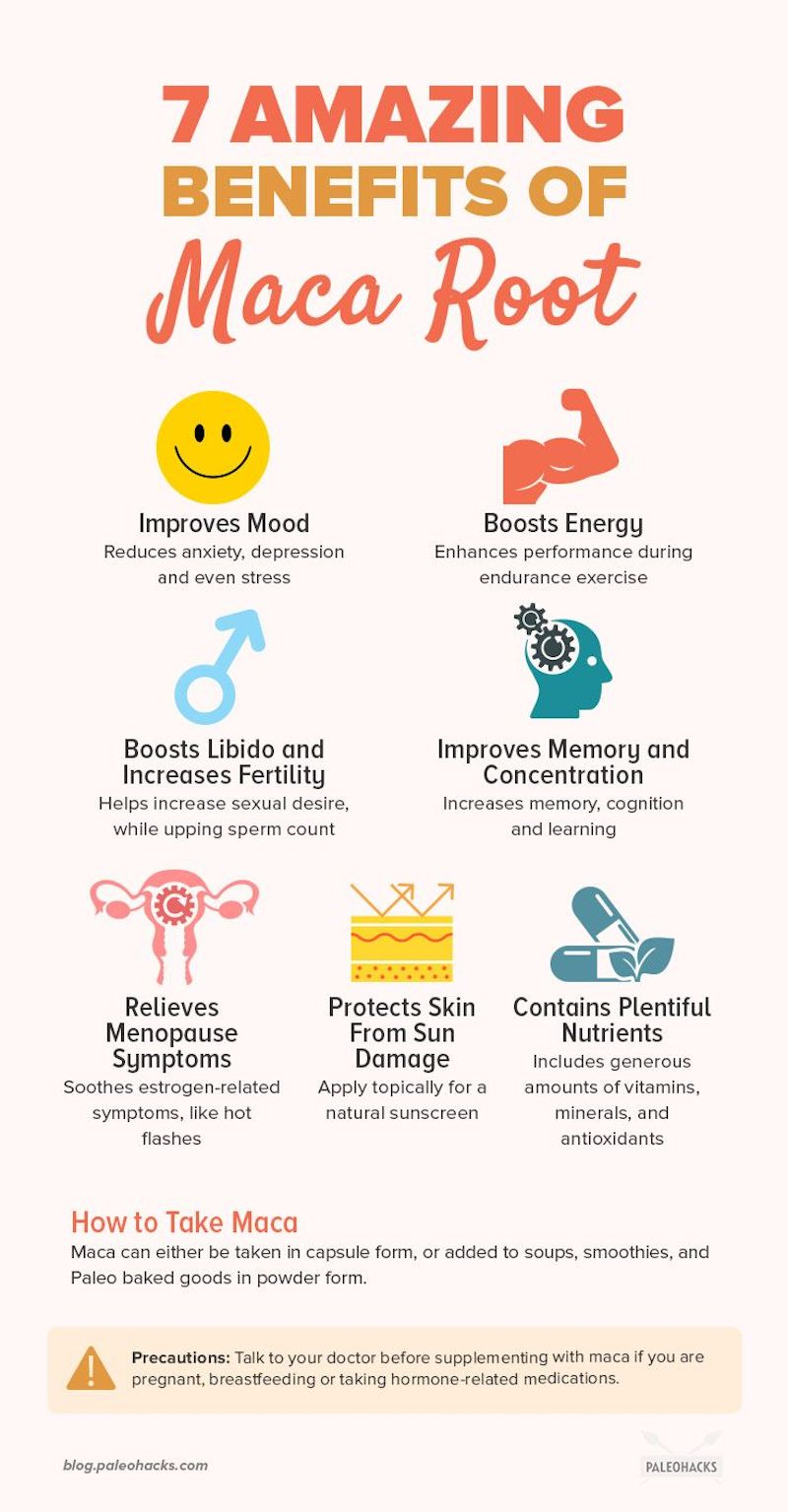 what does maca root extract do infographic about the benefits of maca root