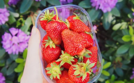 what happens if you soak strawberries in vinegar