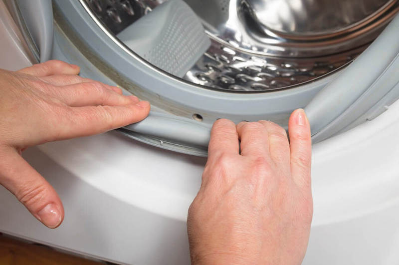 What to do when you find mold in the gasket of your washer washing machine rubber seal?