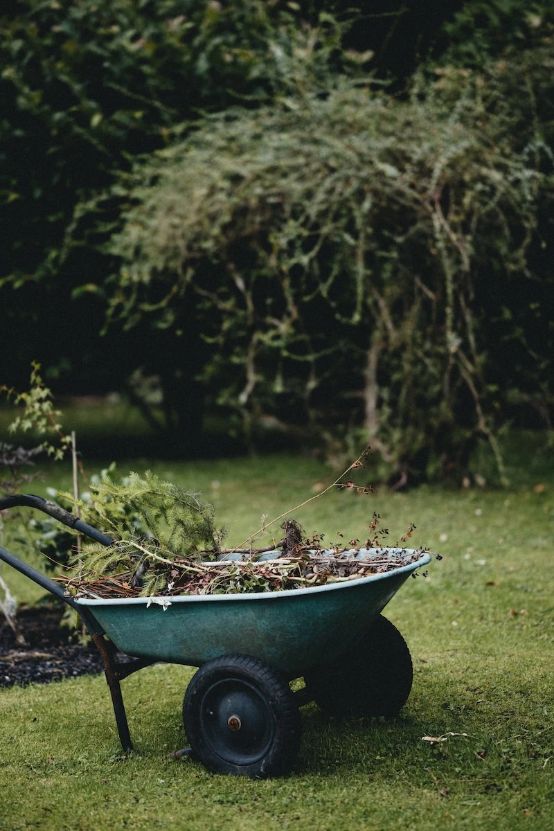 wheel barrel with twigs in the garden