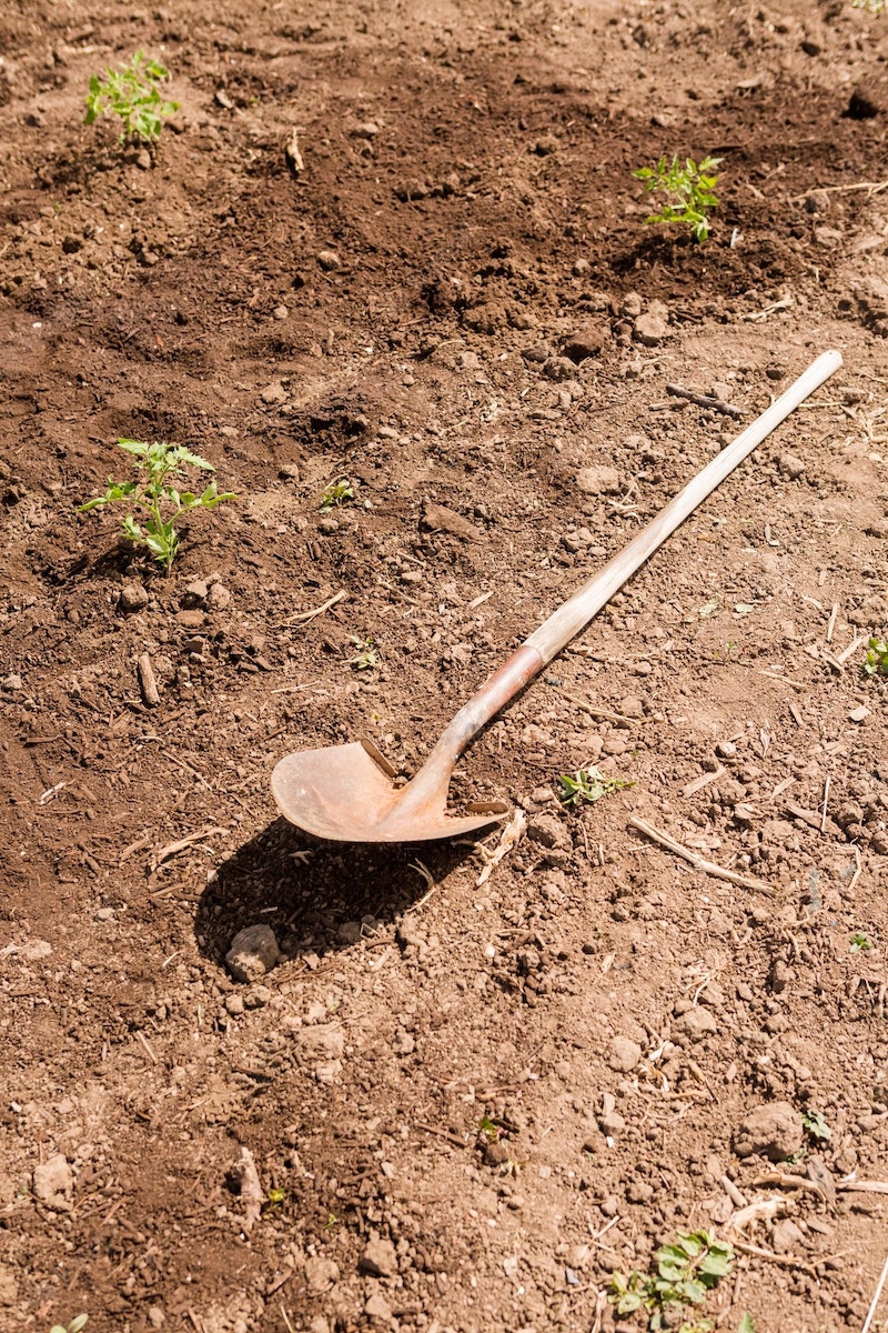 when to start preparing garden for spring