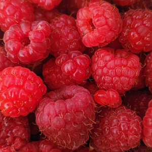 How to wash and store raspberries so they stay fresh for longer