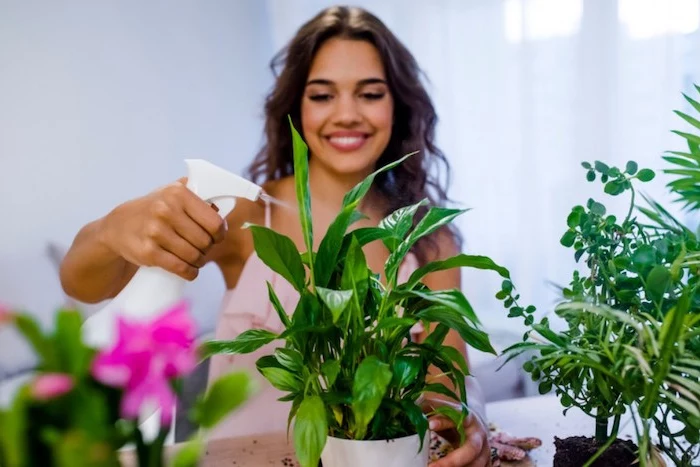 lucky plants for the home woman watering her plant with a smile