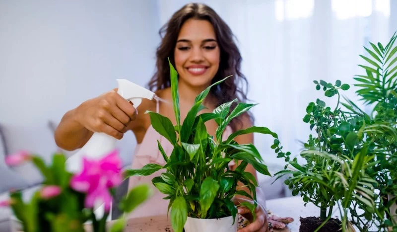 lucky plants for the home woman watering her plant with a smile