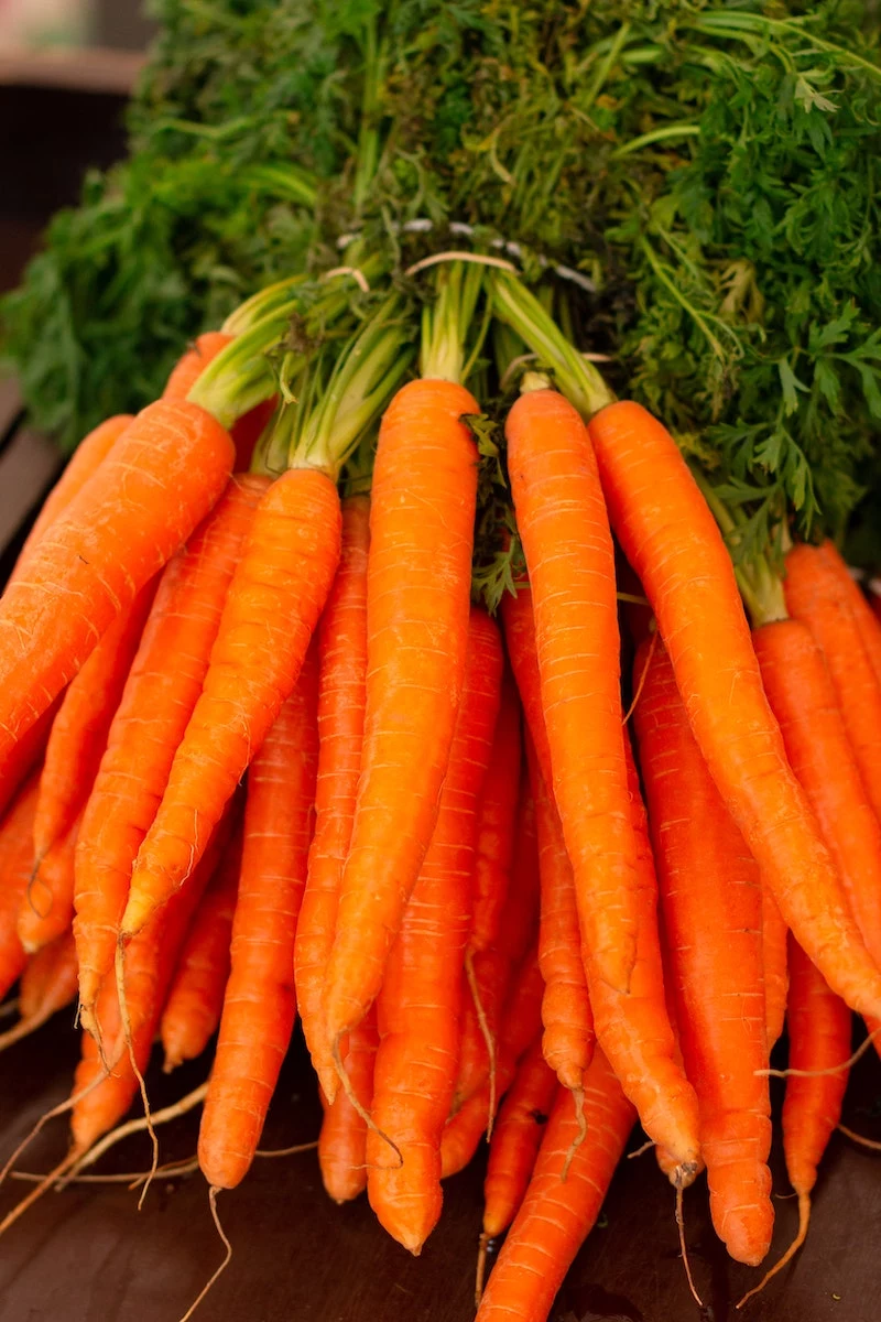 anti aging vitamins and minerals orange carrots in a bunch