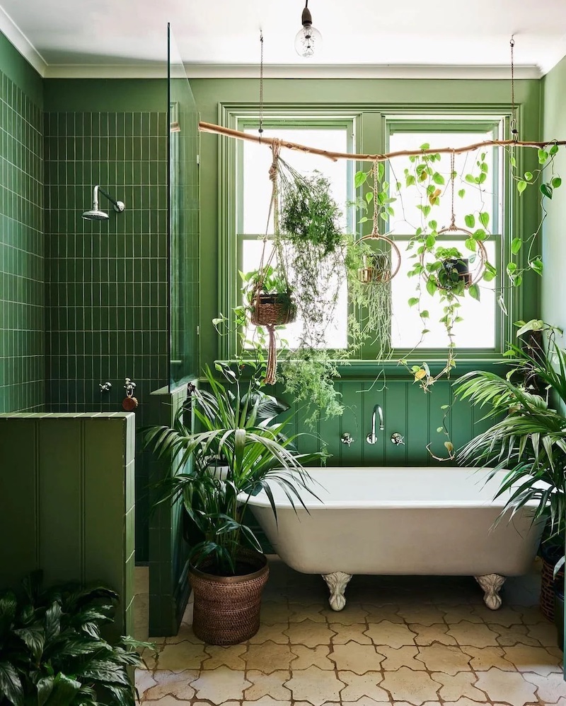 bathroom plants: the 7 best houseplants for your bathroom