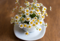 Eat These Before Bed! 5+ Foods To Help You Sleep Better