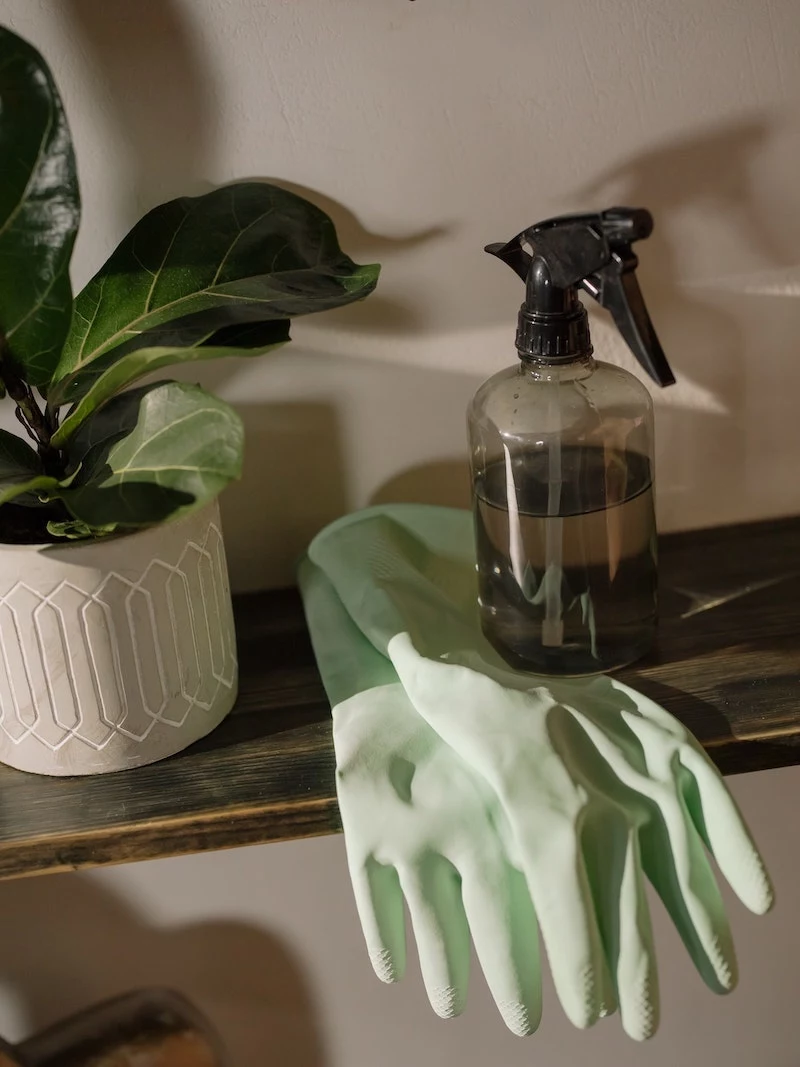 cleaning mistakes to avoid in your home