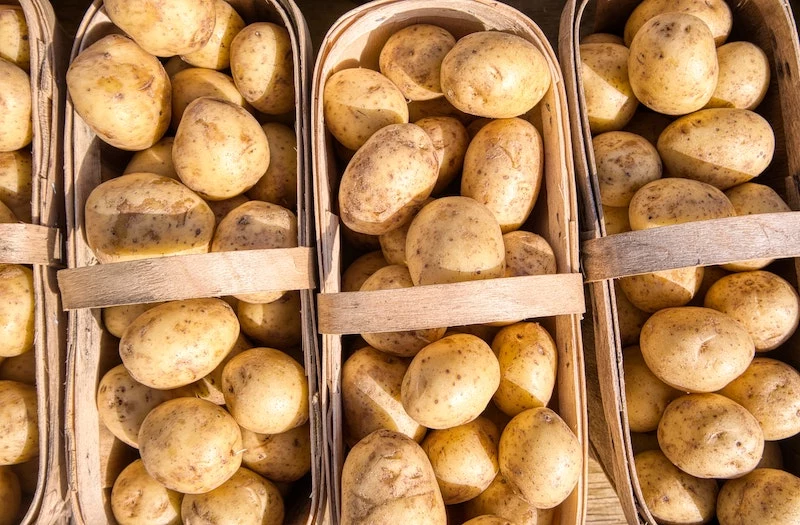 foods you should not put in the fridge potatoes in brown baskets
