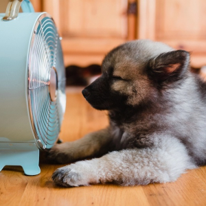 10 Simple Tips How To Keep Your Home COOL During The Summer