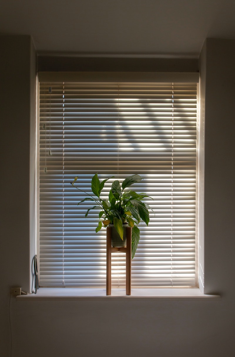 how to sleep during the summer blinds closed on window with plant