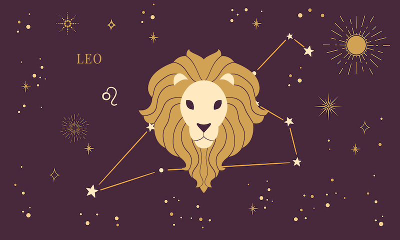 leo plants zodiac signs compatibility