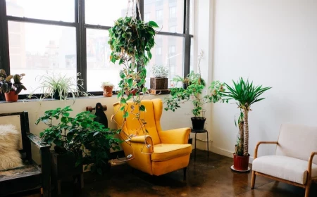 lucky plants yellow chair with indoor plants around it