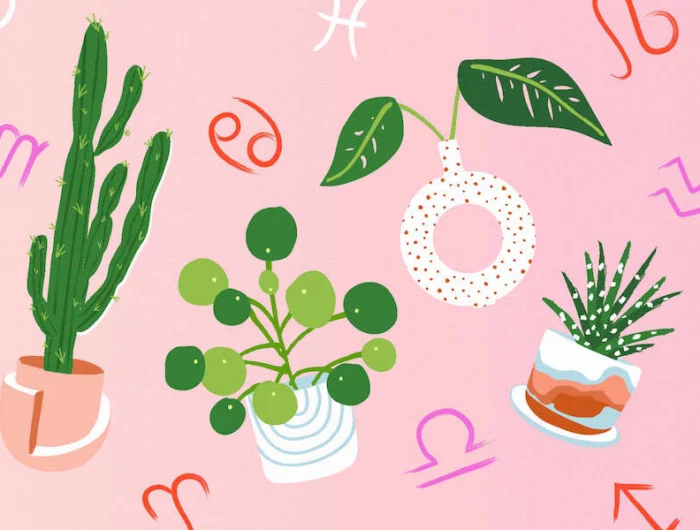 plants and herbs for your zodiac sign