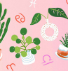 plants and herbs for your zodiac sign