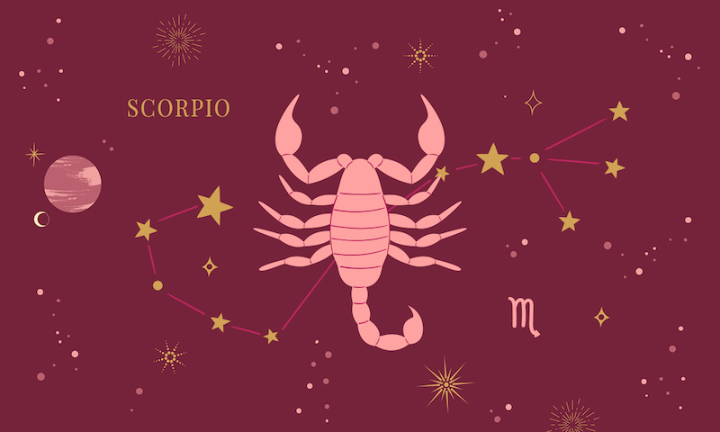 scorpio plants zodiac signs compatibility chart
