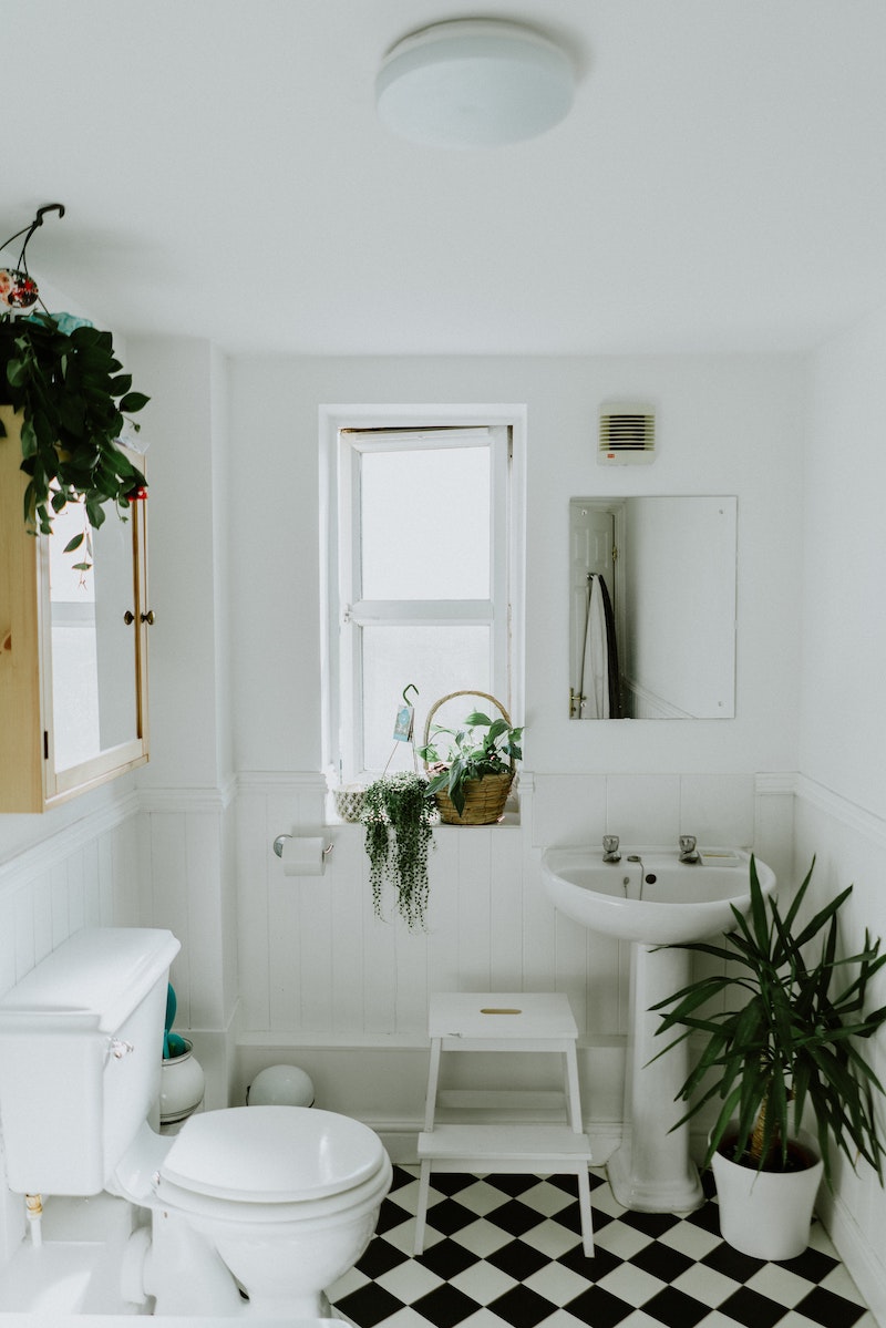 small bathroom with plants in it