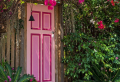 Vining plants that will transform your home & garden into a fairy-tale oasis