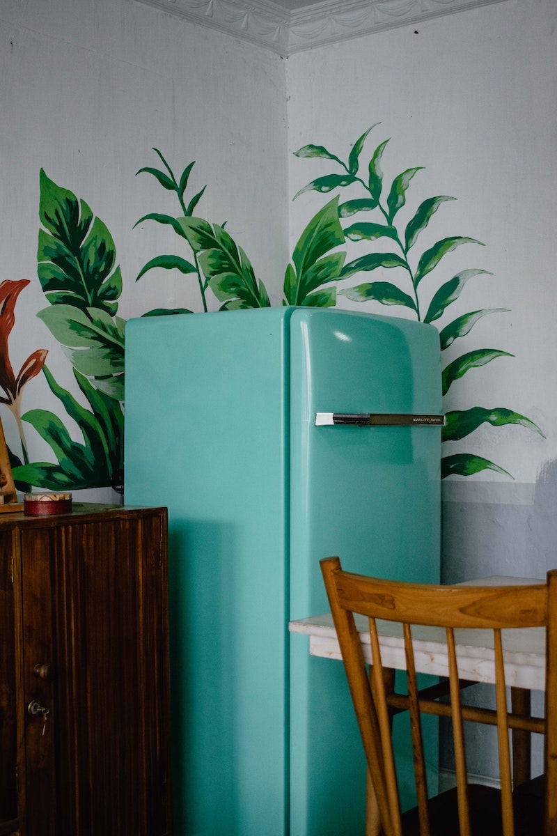blue fridge with plant next to it