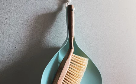 brush and scoop for cleaning