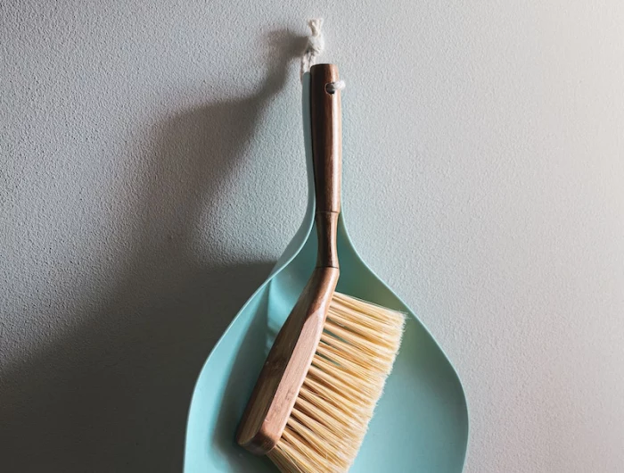 brush and scoop for cleaning