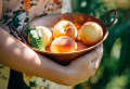 How to store peaches to keep them super juicy & full of flavor