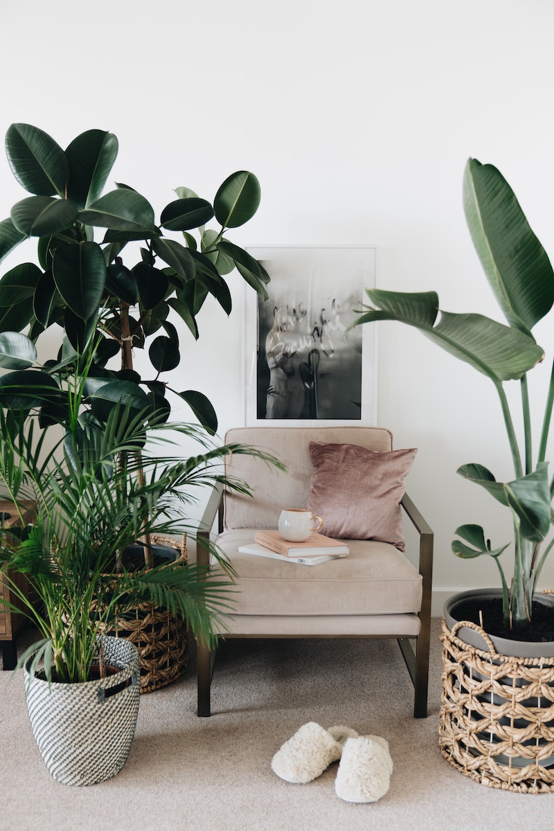 10 Surprising Things In Your Home That Actually Have An Expiration Date