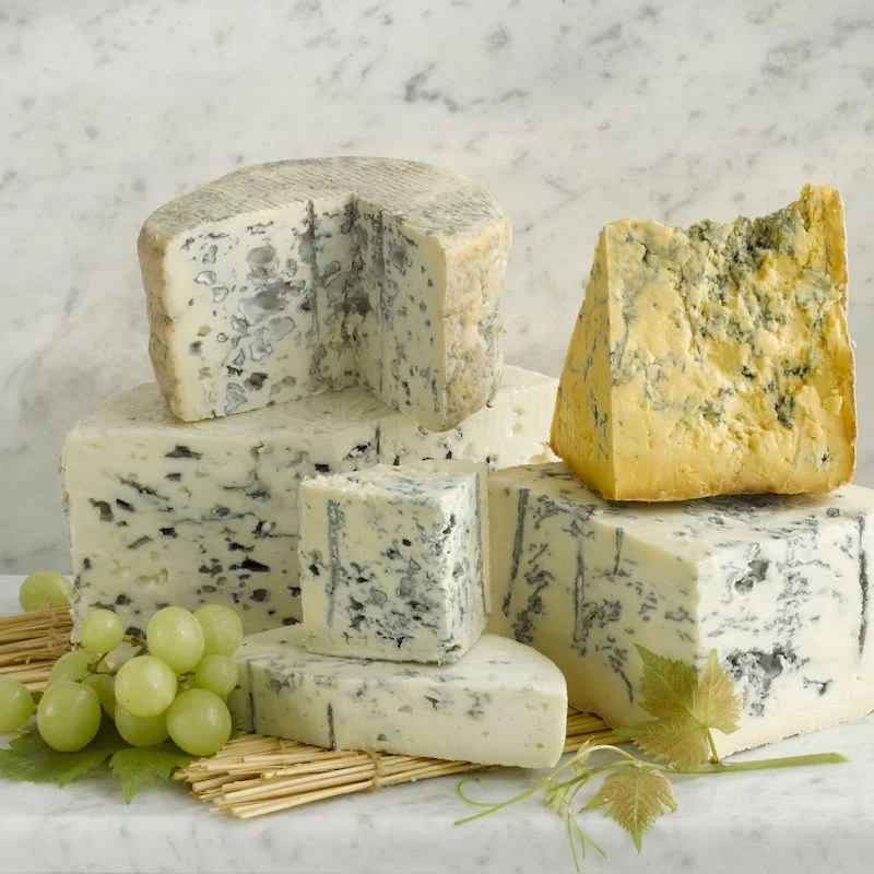 foods for good gut health roquefort blue cheese sliced