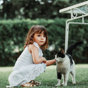 The 7 Best Kid-Friendly Cat Breeds: Loving and Calm