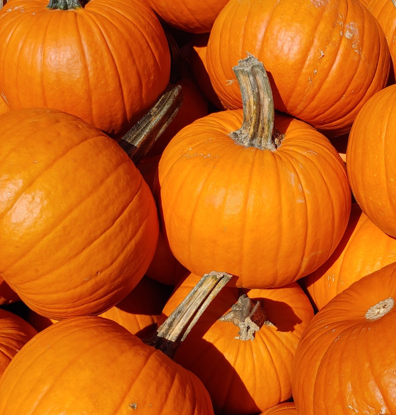 how to get tan with foods a bunch or orange pumpkins