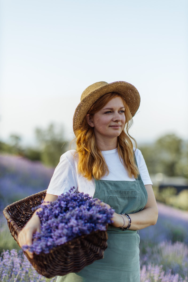how to prune lavender woman holding a basket of lavender