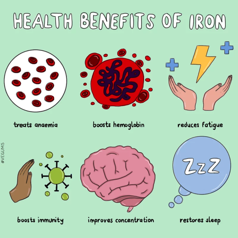 iron rich foods benefits