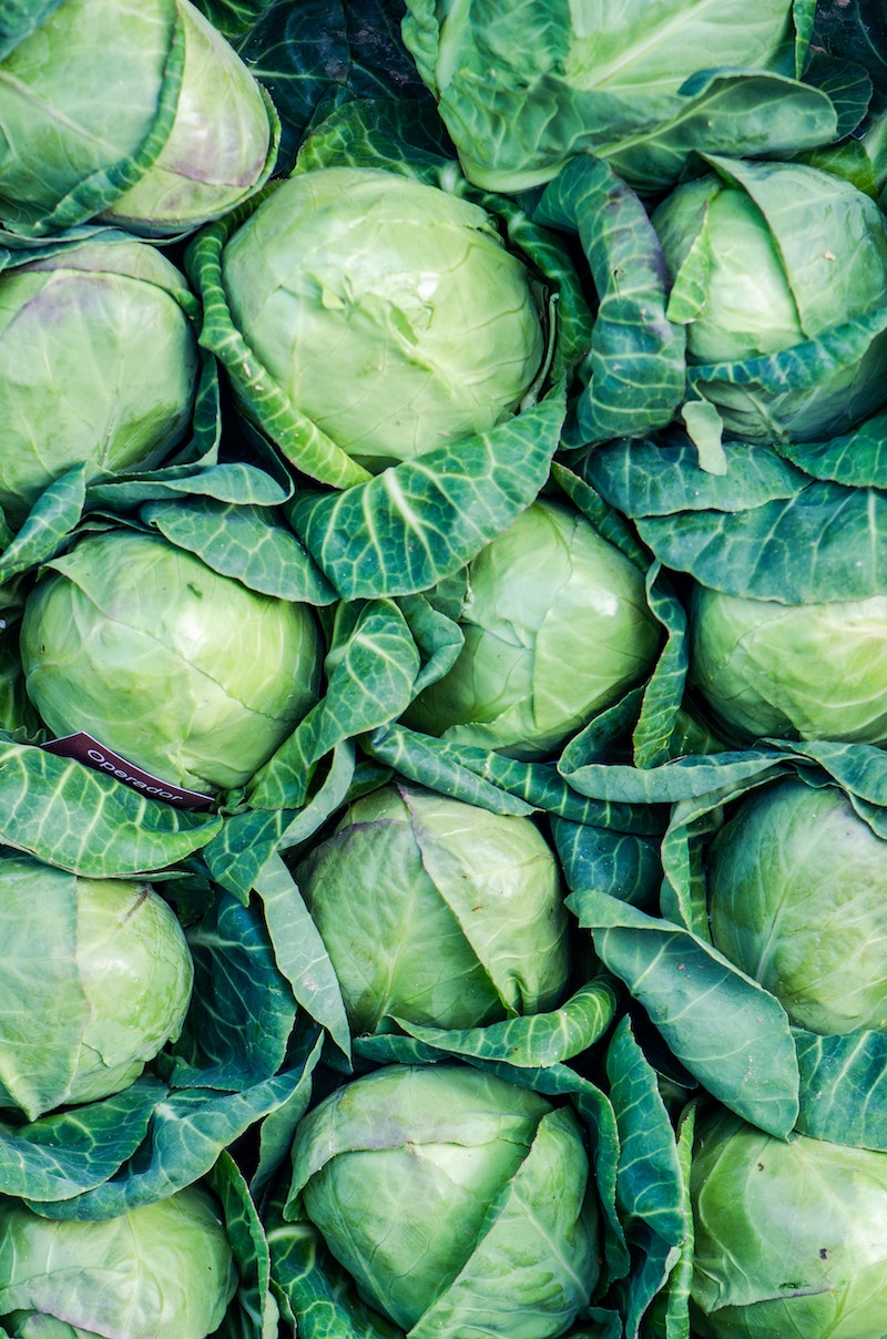 lose weight green cabbages in a bunch