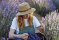 Here is How To Make Your House Smell Good With Just Houseplants